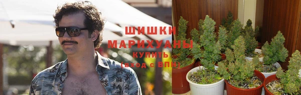тгк Нязепетровск