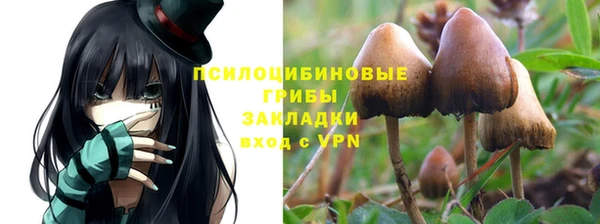 тгк Нязепетровск