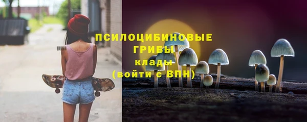 тгк Нязепетровск