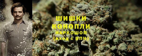 дмт Нягань