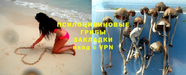 дмт Нягань