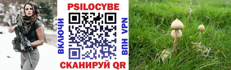 Псилоцибиновые грибы мухоморы Остров